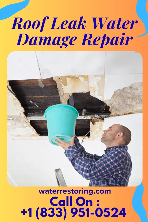 Roof Leak Water Damage Repair in Poplar Grove, IL